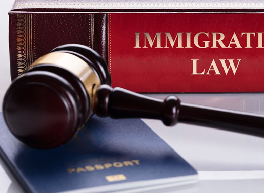 Immigration Cases